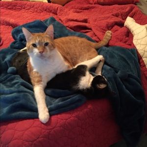 Meet your Posher, Faye